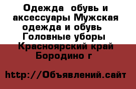 Одежда, обувь и аксессуары Мужская одежда и обувь - Головные уборы. Красноярский край,Бородино г.